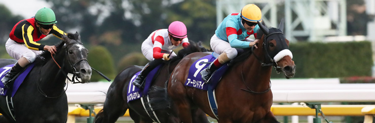 天皇賞 秋 21 G1特集 競馬情報ならjra Van