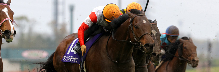 高松宮記念21 G1特集 競馬情報ならjra Van