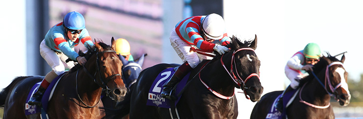 ジャパンカップ22 G1特集 競馬情報ならjra Van