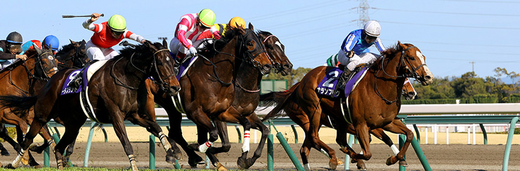 高松宮記念22 G1特集 競馬情報ならjra Van