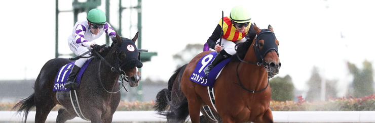 G1���W �t�F�u�����[�X�e�[�N�X