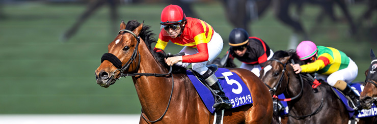 G1���W ���t