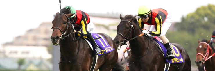 G1���W �H����