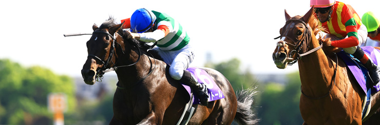 G1���W �V�c�܁i�t�j