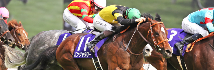 G1���W NHK�}�C���J�b�v