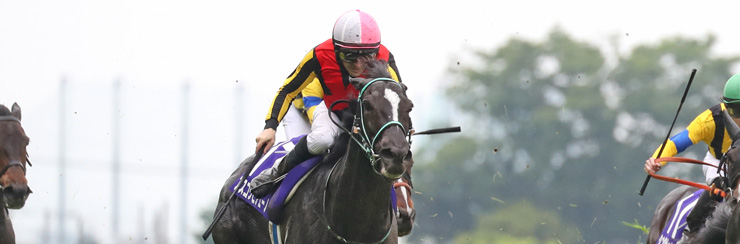 G1���W ���B�N�g���A�}�C��