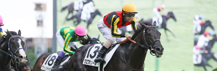 G1���W �����D�x�i���{�_�[�r�[�j