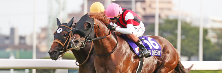 G1���W �X�v�����^�[�Y�X�e�[�N�X