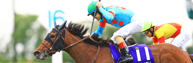 G1���W �H�؏�