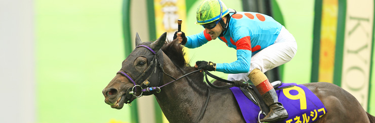 G1���W �e�ԏ�