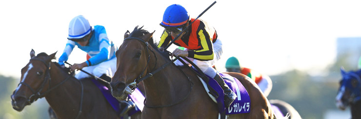 G1���W �G���U�x�X�����t