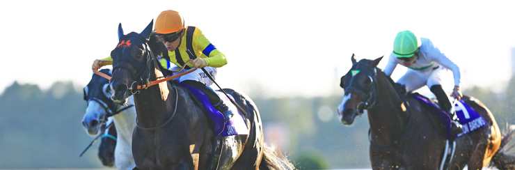 G1���W �}�C���b�r