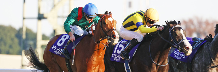 G1���W �W���p���b