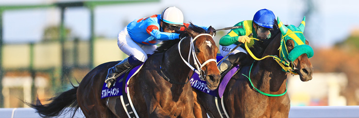 G1���W �`�����s�I���Y�J�b�v