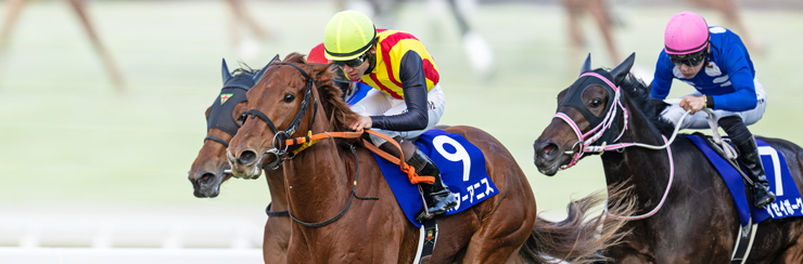 G1���W ��_�i�e