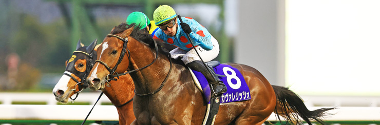 G1���W �����t�e�r