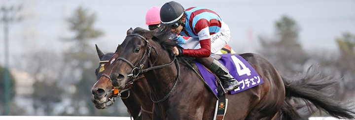 G1���W �z�[�v�t���X�e�[�N�X