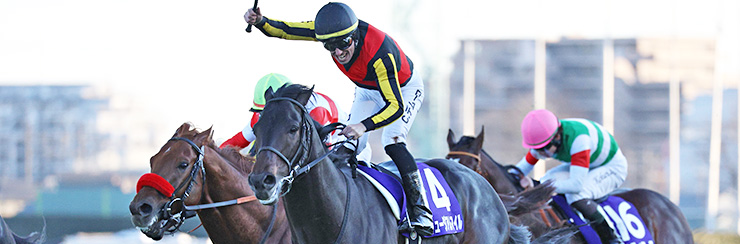 G1���W �L�n�L�O