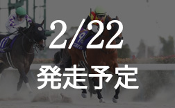 �t�F�u�����[�X�e�[�N�X