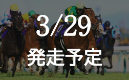 �����{�L�O