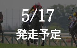 ���B�N�g���A�}�C��