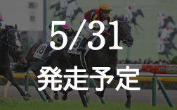 ���{�_�[�r�[