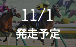 �V�c�܁i�H�j