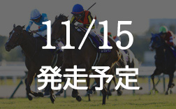 �G���U�x�X�����t