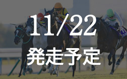 �}�C���b�r