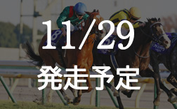 �W���p���J�b�v