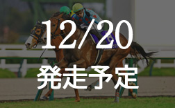 �����t�e�r