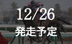 �z�[�v�t���X�e�[�N�X