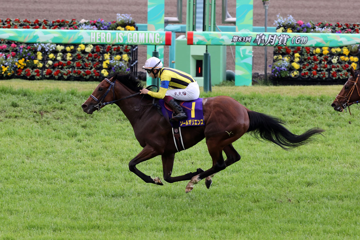 ソールオリエンス