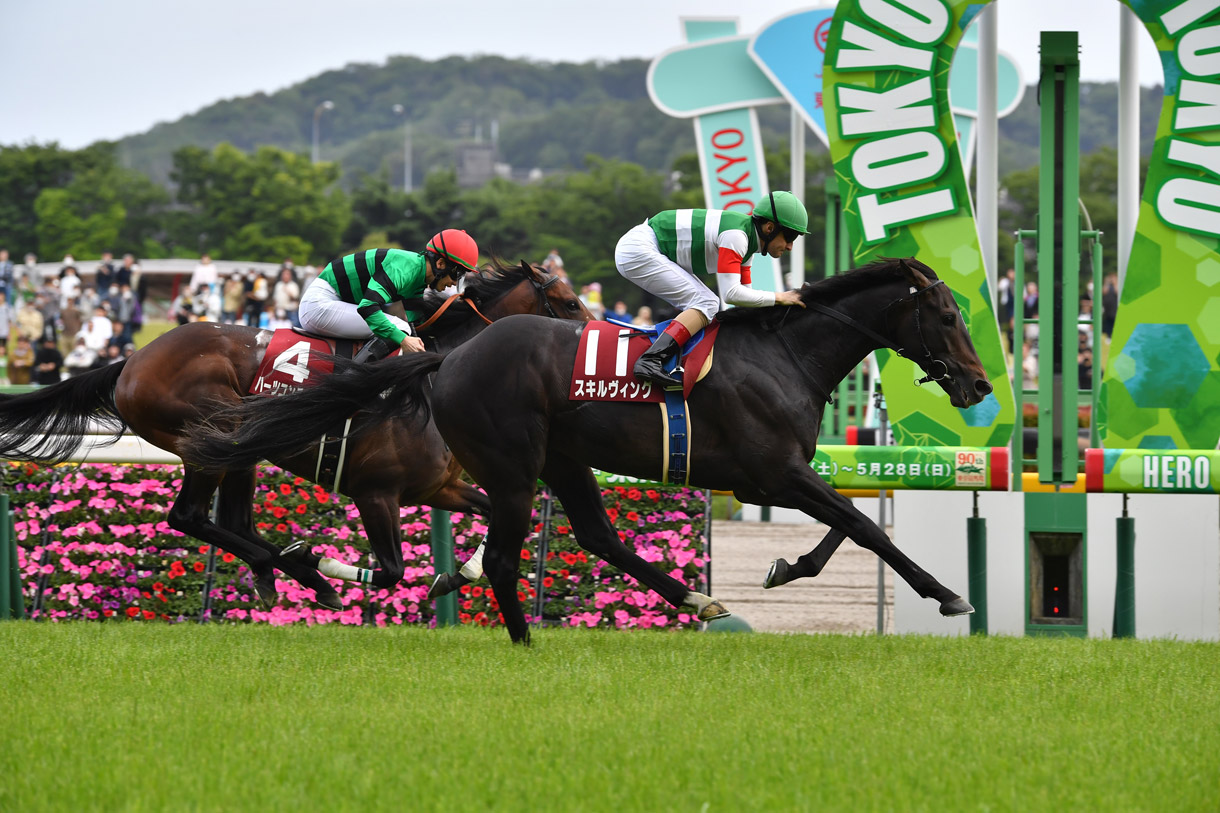 スキルヴィング