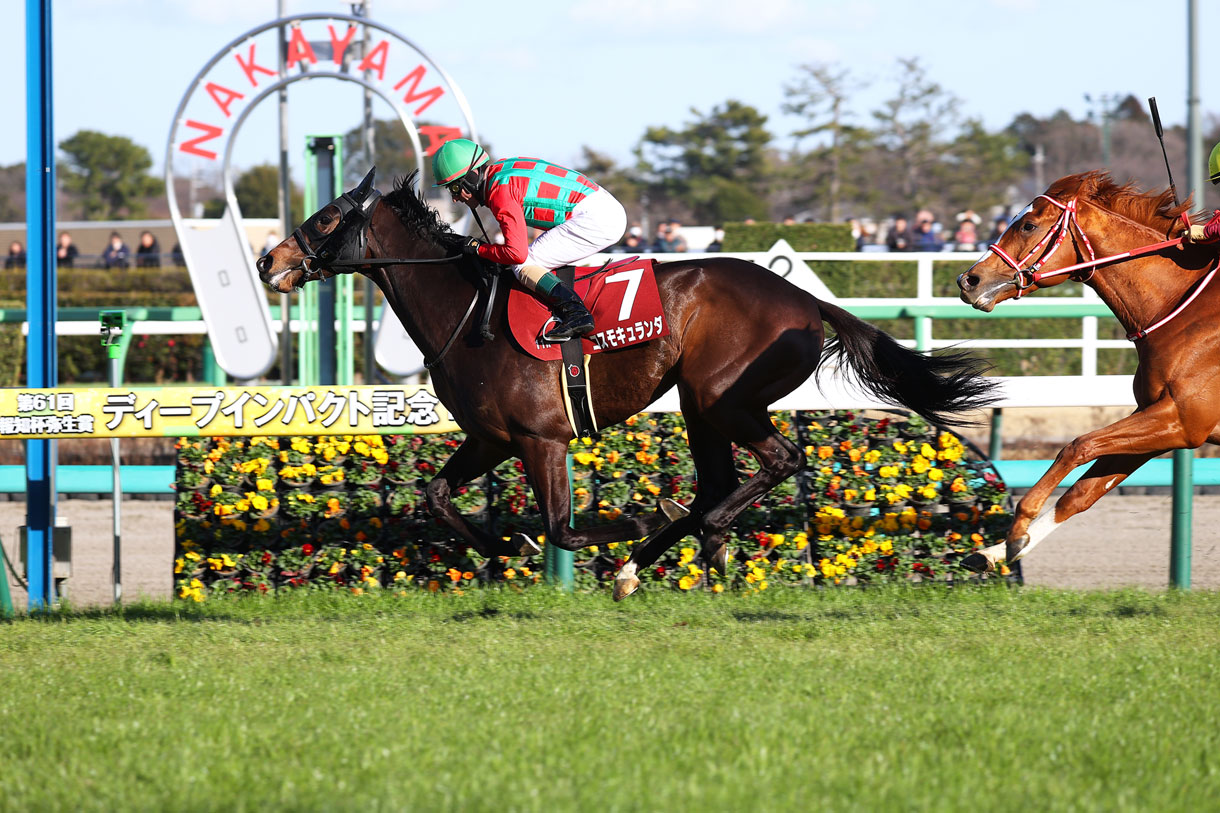 コスモキュランダ