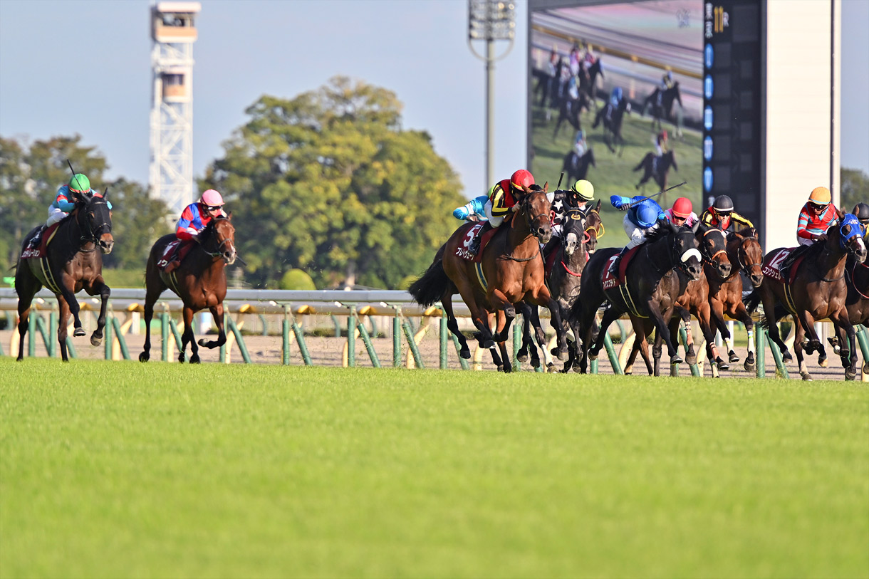 �V���e�B���[�V����