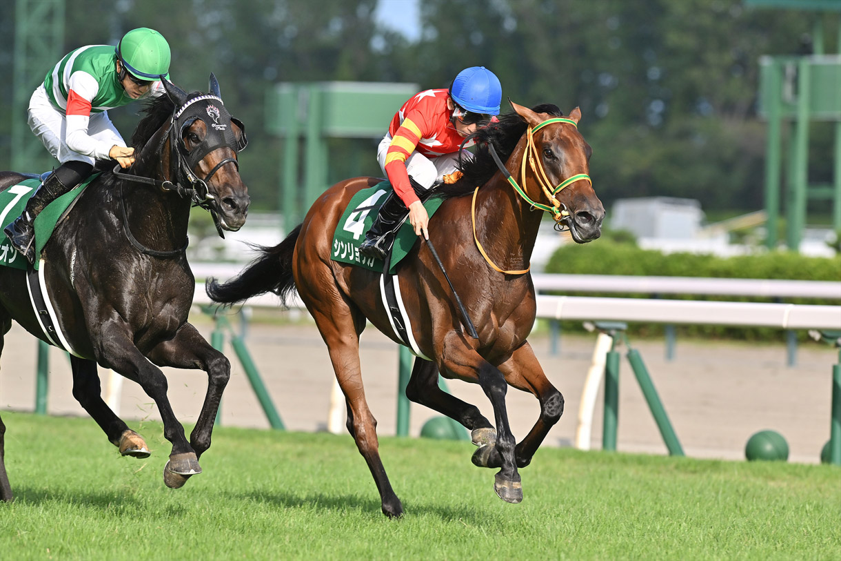 �V�������N�J