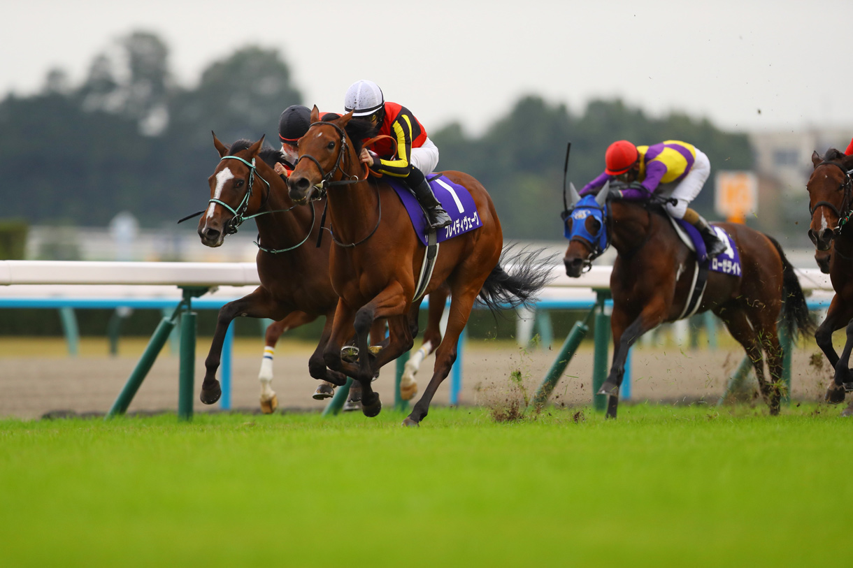 �ߋ��̌X��