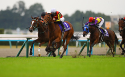 �ߋ��̌X��