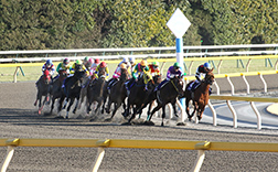 �w������