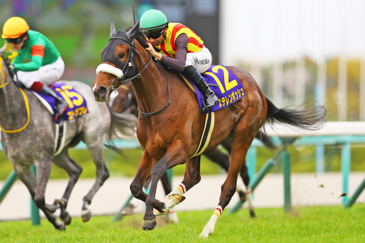 �X�e�����{�b�V��