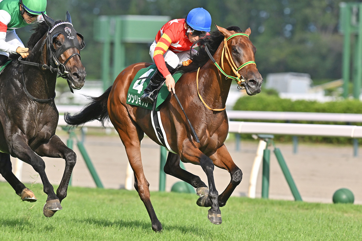 �V�������N�J