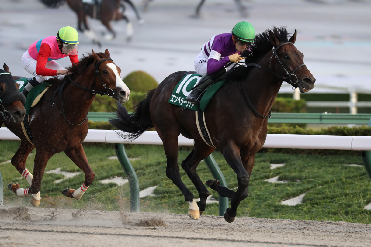 �G���y���[���P�A