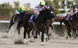 �ߋ��̌X��