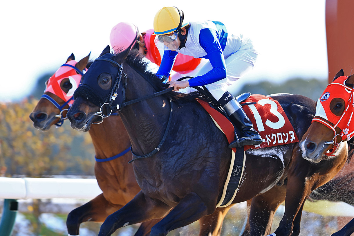 ロードクロンヌ