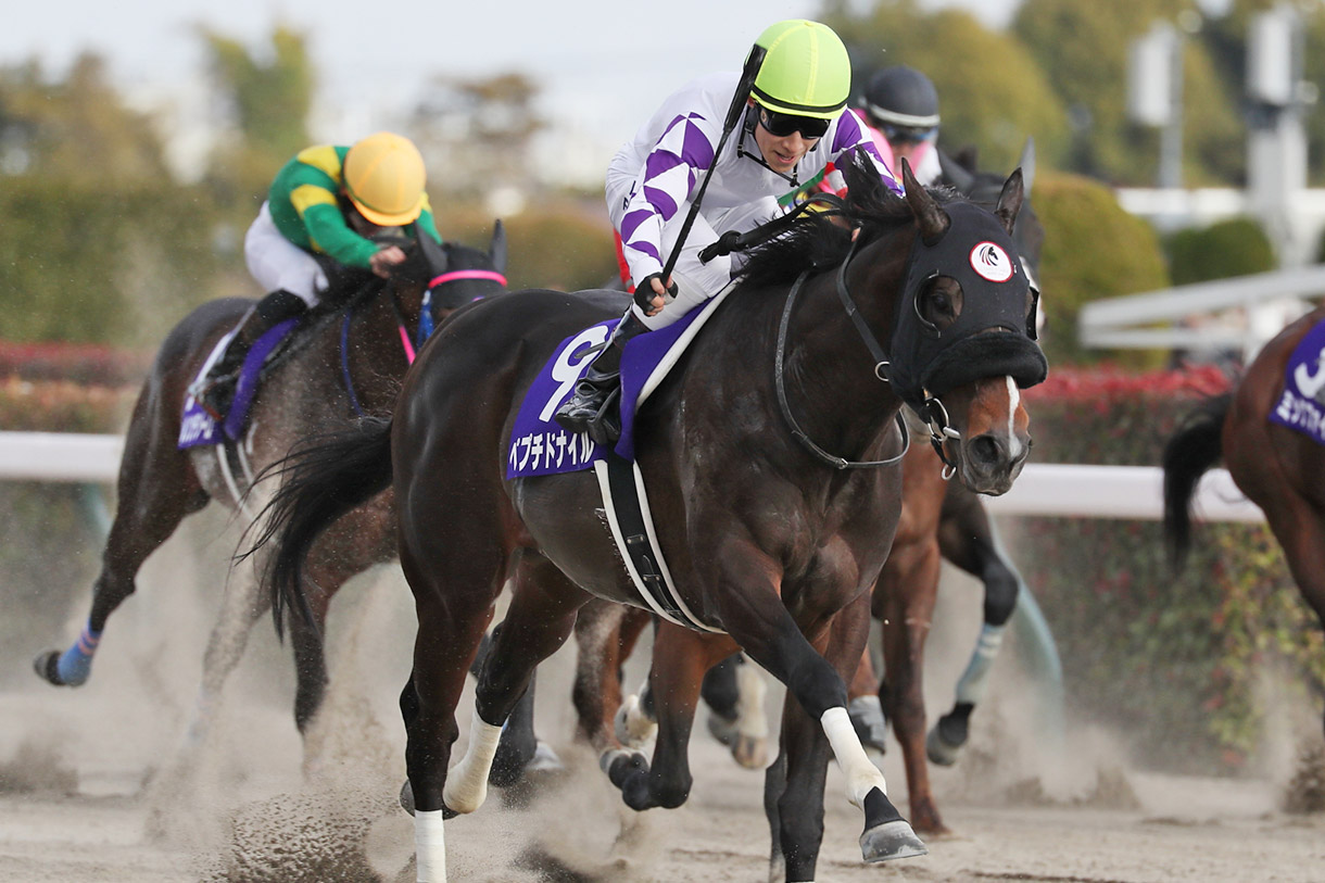 ペプチドナイル