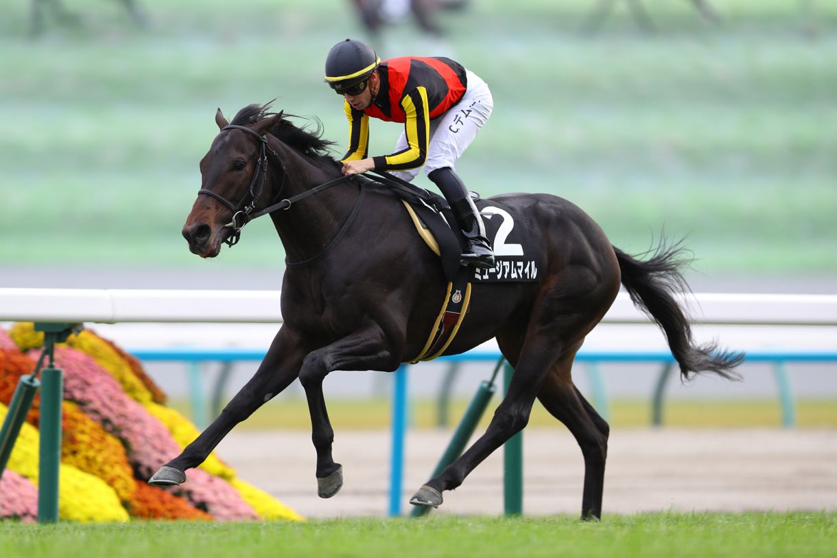 �~���[�W�A���}�C��