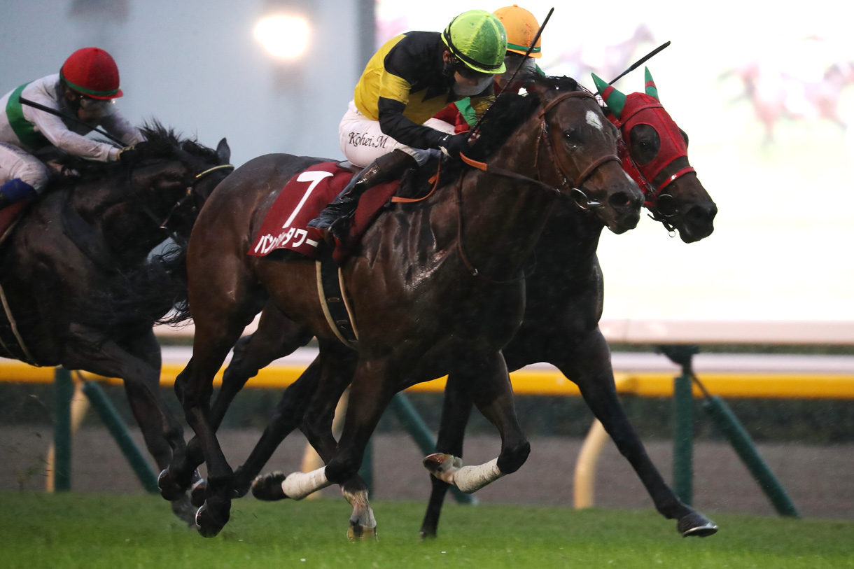 �p���W���^���[