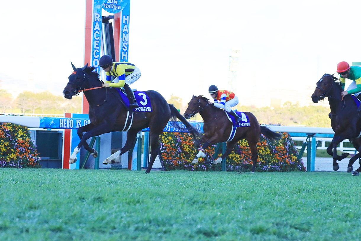 �ߋ��̌X��