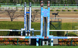 ���[�X���